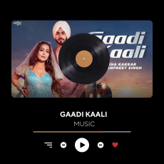 Gaadi Kaali Song Neha Kakkar Rohanpreet Singh Raees Saga Sounds Gaadi Kaali Song Neha Kakkar Rohanpreet Singh Raees Saga Sounds